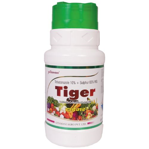 TIGER 